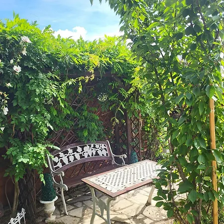 Apartman Avec Jardin Privatif Colmar