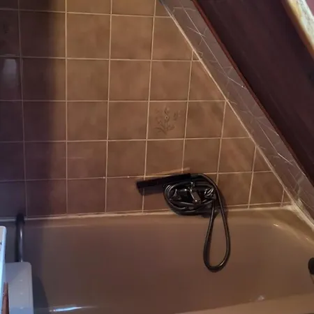 Avec Jardin Privatif Colmar